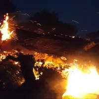 آتش‌سوزی یک ساختمان مسکونی در جنوب غرب تهران؛ ۴عضو خانواده جان‌باختند