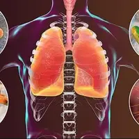 اعلام نتایج یک مطالعه جدید درباره کپک خانگی