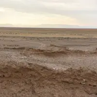 مردم، محور اصلی نجات تالاب بین‌المللی هامون؛ لزوم دیپلماسی محلی برای احیای حقابه