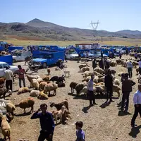 میدان دواب بوکان بازگشایی شد