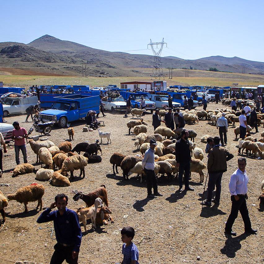میدان دواب بوکان بازگشایی شد