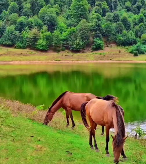 دریاچه زیبای سراگاه در گیلان زیبا