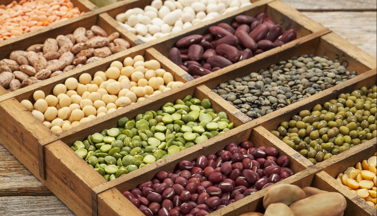 قیمت حبوبات پایان مرداد کاهشی می شود