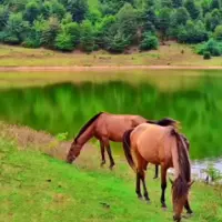 دریاچه زیبای سراگاه در گیلان زیبا