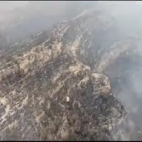 آتش‌سوزی در ارتفاعات دشتستان بعد 4 روز مهار شد
