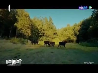 تصاویری دیدنی از بازی‌های بومی محلی در گیلان