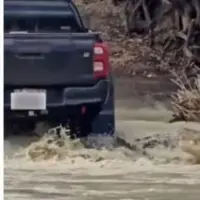 لحظه عبور وانت از روی تمساح در رودخانه