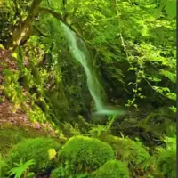 شهر کاکوله شهری زیبا و زنده