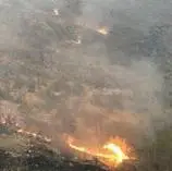 اطفا کامل آتش‌سوزی ارتفاعات دشتستان نیازمند زمان بیشتری است