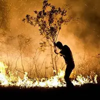 آتش‌سوزی در گچساران مهار شد