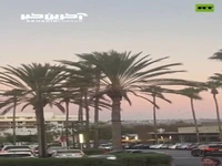 رفتار عجیب پرندگان قبل از هشدار سونامی در نیوپورت بیچ کالی 