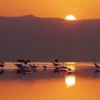  طلوع زیبای دریاچه مهارلو در استان فارس و پرواز فلامینگوها 