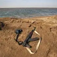 قانون بکارگیری سلاح در کمیسیون حقوقی مجلس بررسی می‌شود