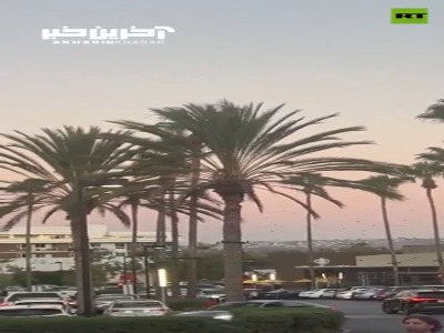 رفتار عجیب پرندگان قبل از هشدار سونامی در نیوپورت بیچ کالی