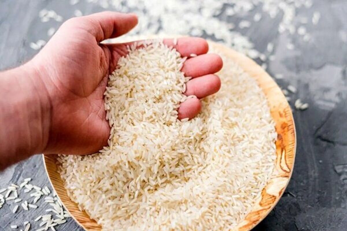 پاسخ وزیر کشاورزی به علت گرانی برنج