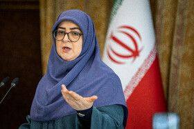 سخنگوی دولت: گفت‌وگو در خصوص مسائل هسته‌ای با شرایط پیچیده مواجه شده است