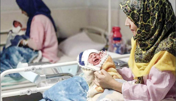 بحران زادوولد در کشور