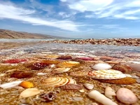 سواحل رویایی غرب هرمزگان 