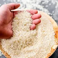 پاسخ وزیر کشاورزی به علت گرانی برنج