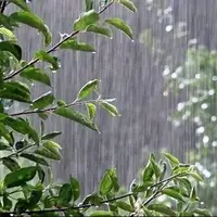 بارش پراکنده و رگبار موقت در همدان