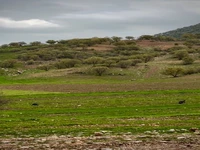 لرستان مسیر زیبای آبشار کبوترلو 
