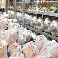 گرانی بی‌سابقه مرغ در کهگیلویه و بویراحمد؛ چالش‌های نظارتی و مدیریتی