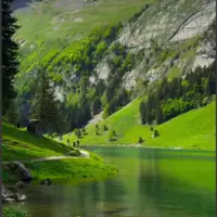 طبیعت زیبا در سوئیس