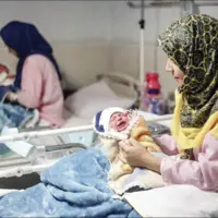 بحران زادوولد در کشور