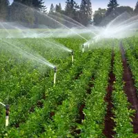 نظر وزیر جهاد کشاورزی درباره مصرف آب در بخش کشاورزی 