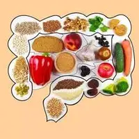 تأثیر رژیم غذایی پرچرب بر سلامت سیستم ایمنی روده