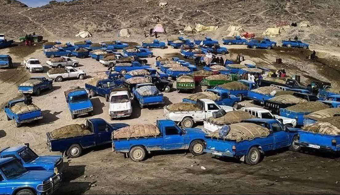 ۹۰ سال زندان برای سرکردگان قاچاق سوخت