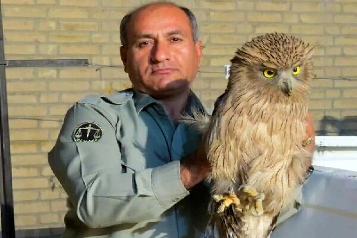 جزئیات شهادت یک محیطبان؛ قاتل بعد از 2 ماه همچنان فراری است!