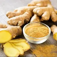زنجبیل، ادویه‌ای با طعم توسعه برای ایران