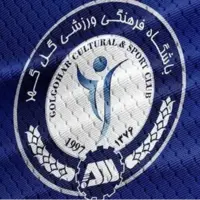 دو بازیکن از بوسنی در تیررس گل‌گهر