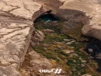 بهشتی عجیب در دل کویر کرمان