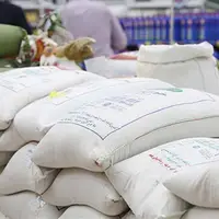 نوری قزلجه: دولت برای تنظیم بازار برنج اقدامات جدیدی انجام می‌دهد