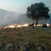 مراتع طبیعی دامغان در آتش سوخت