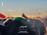 استوری/ قدم قدم با یه علم...