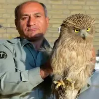 جزئیات شهادت یک محیط‌بان؛ قاتل بعد از 2 ماه همچنان فراری است!