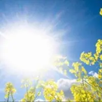 کاهش دما در مرز خسروی؛ تداوم هوای گرم و وزش باد در سایر مناطق کرمانشاه