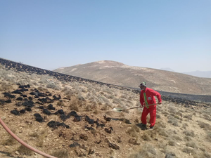عکس/ ۵ هکتار از مراتع «بغنه کوچک» دامغان طعمه حریق شد