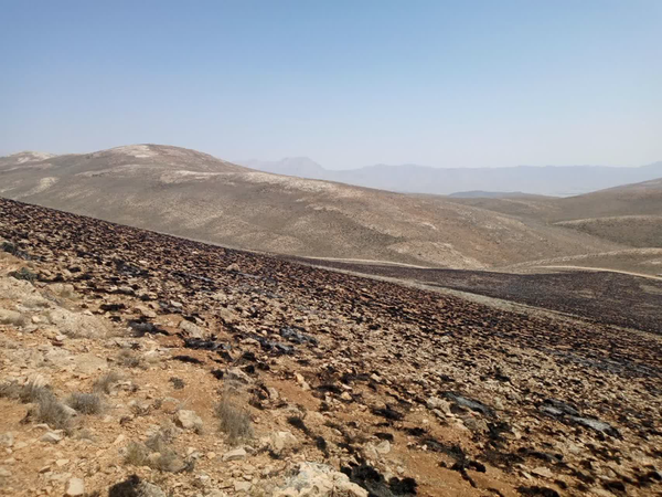عکس/ ۵ هکتار از مراتع «بغنه کوچک» دامغان طعمه حریق شد