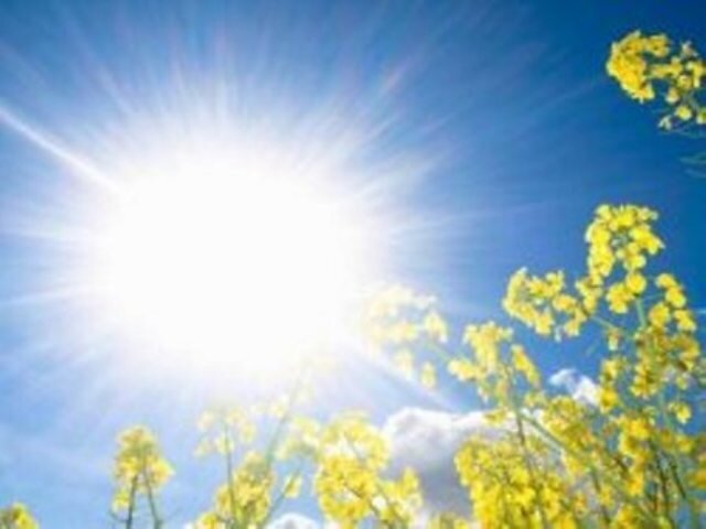 کاهش دما در مرز خسروی؛ تداوم هوای گرم و وزش باد در سایر مناطق کرمانشاه