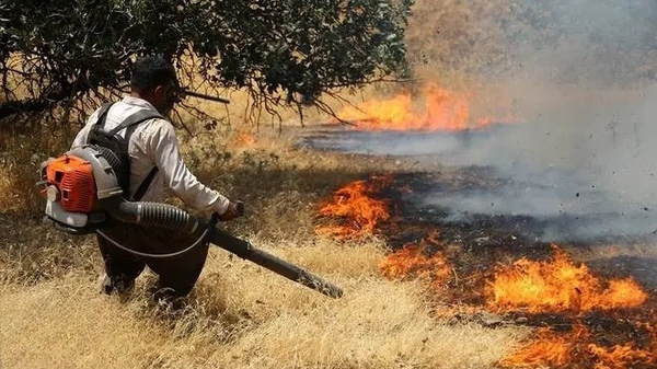 آتش‌سوزی جنگلهای مهدی پستی نمین مهار شد