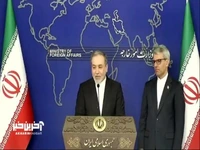 شوخی عراقچی با نامگذاری روز خبرنگار؛ خبرنگاران از ما زرنگ‌تر بودند، این روز را به نام خبرنگار ثبت کردند و روز دیپلمات عقب ماند!