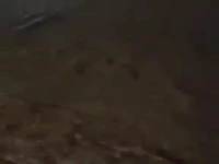 سیل در کره جنوبی