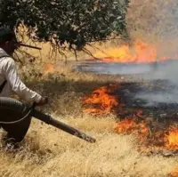 آتش‌سوزی جنگلهای مهدی پستی نمین مهار شد
