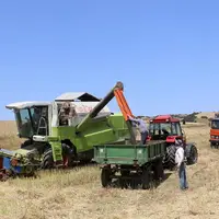 ۱۳ هزار و ۵۰۴ تن کلزا در استان اردبیل خریداری شد
