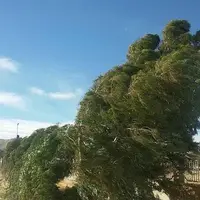 افزایش وزش باد شدید خراسان شمالی را در برمی‌گیرد