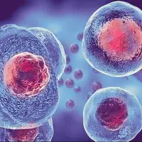 هشدار؛ پیامدهای خطرناک «سلول درمانی» غیرمجاز